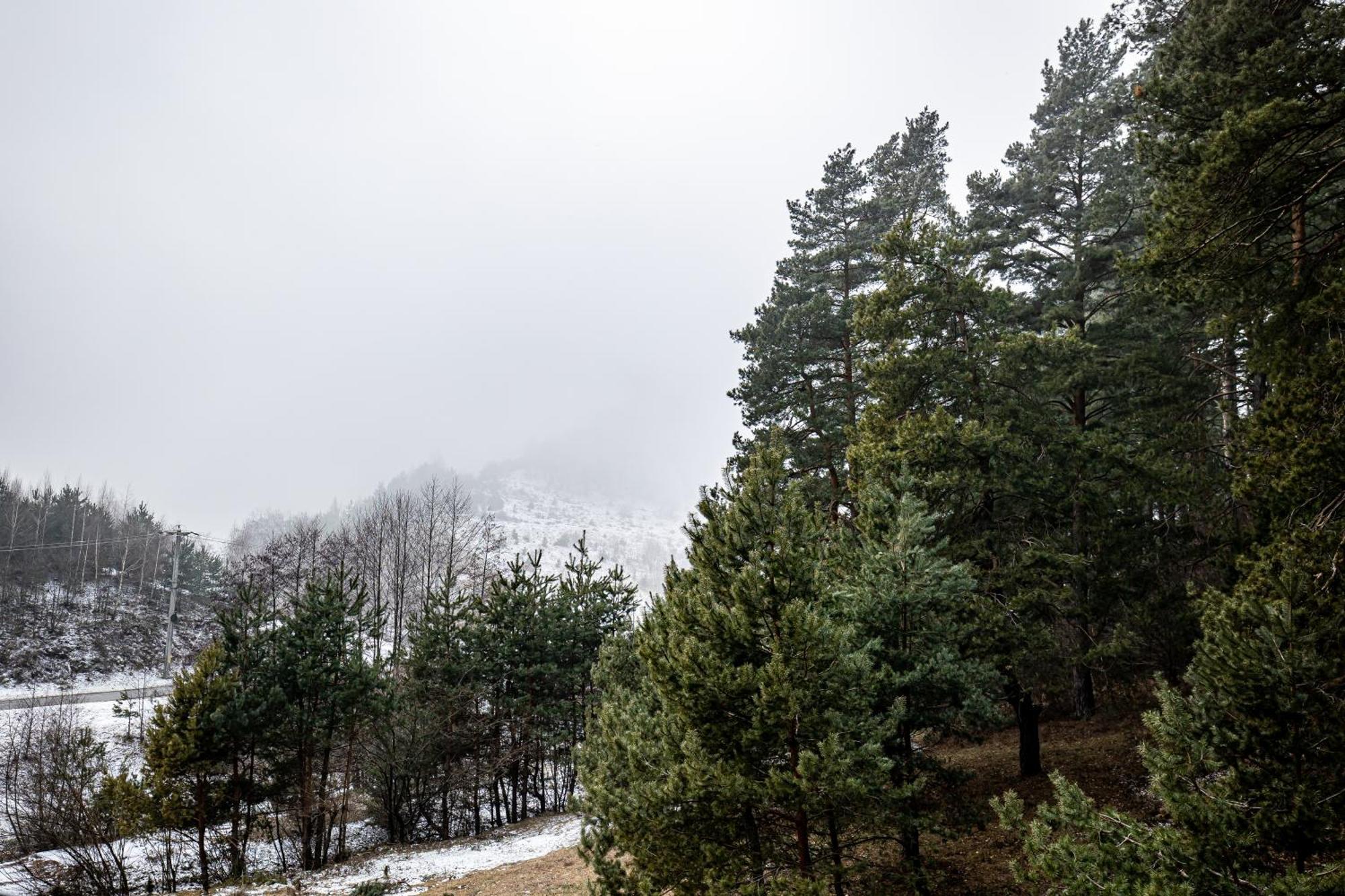 Hotel Carpentiere Arena Răşinari Zewnętrze zdjęcie